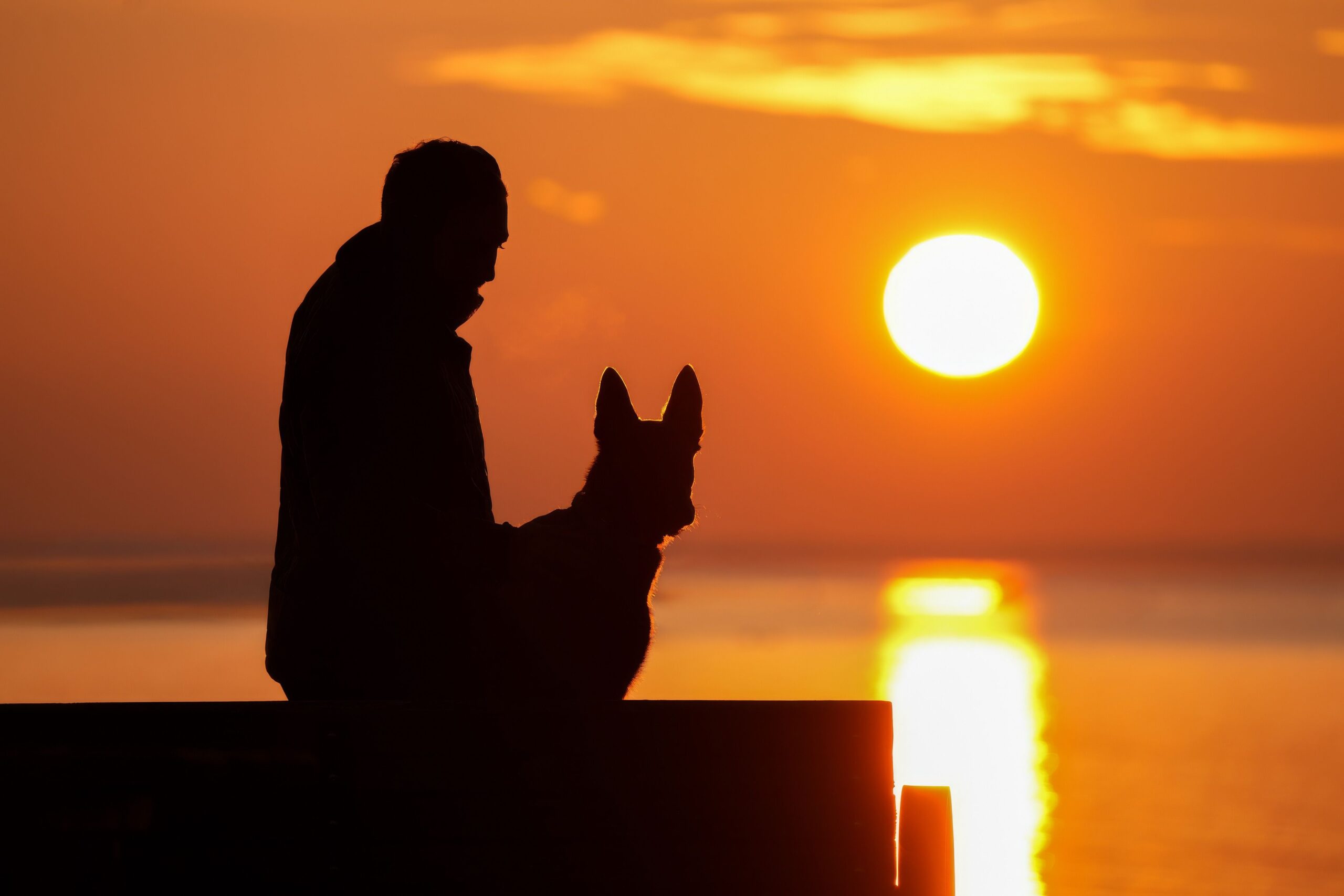 an owner and his dog looking at the sunset